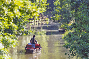 85-CAMPING-LE-MARAIS-SAUVAGE-0.jpg